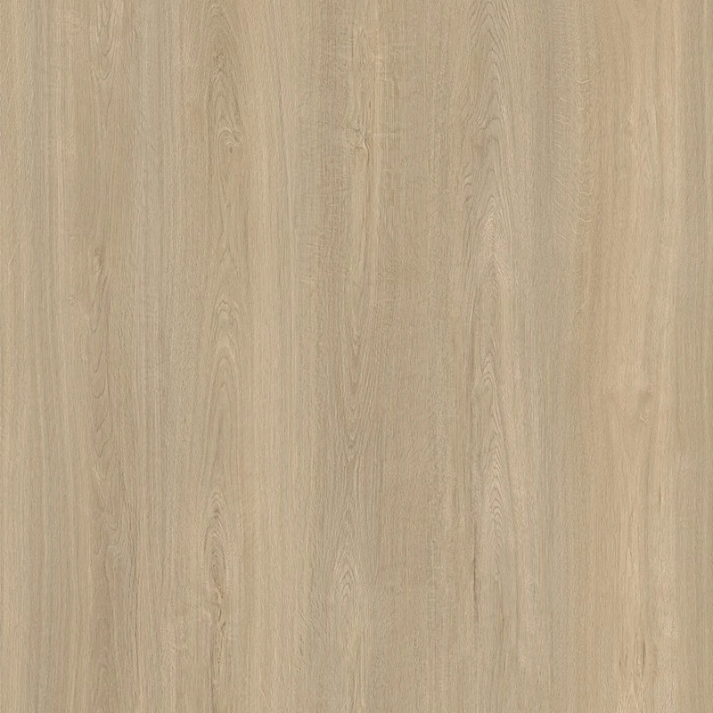 XL1023-12